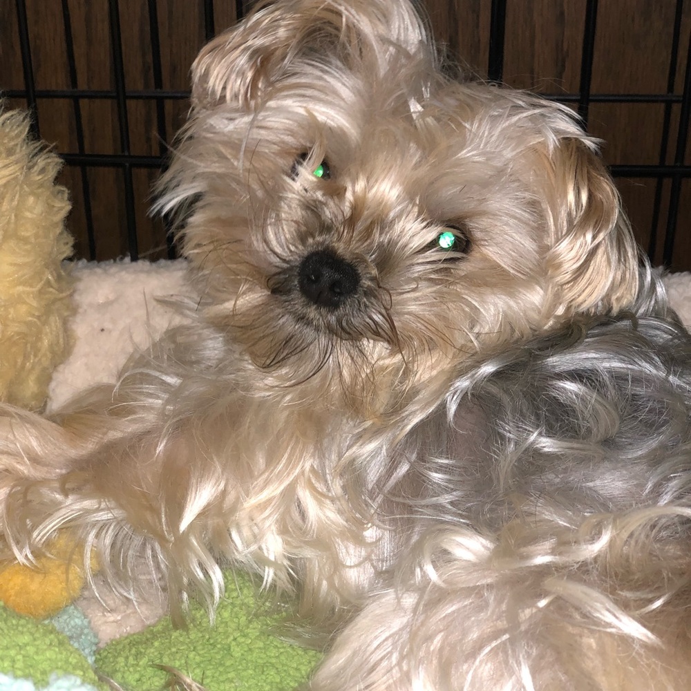 Meet your Posher, Jamie